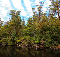A R Reflections River Cruises - Accommodation Gold Coast