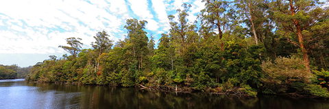 A R Reflections River Cruises - 1 Gold Coast 0