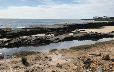 Yamba Tours And Charters - Accommodation Gold Coast 0