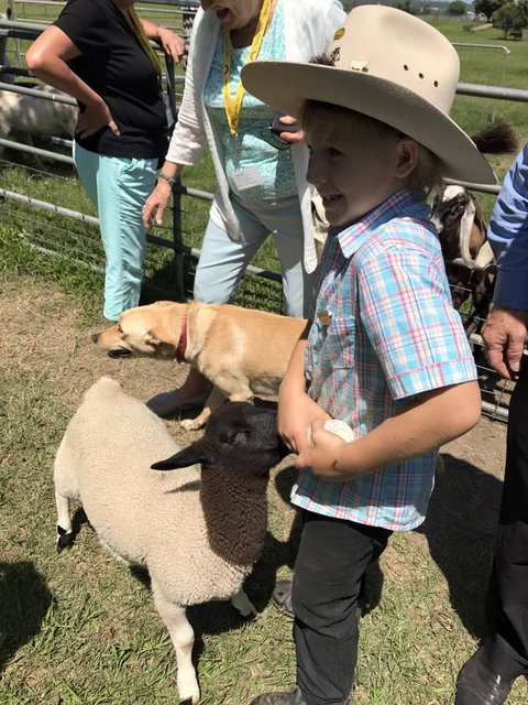 Yamba Tours And Charters - Accommodation Gold Coast 2