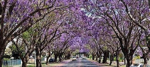 Yamba Tours And Charters - Accommodation Gold Coast 6