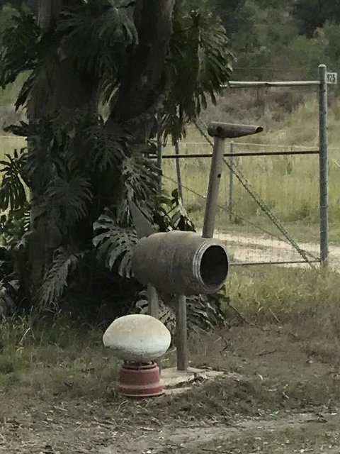 Yamba Tours And Charters - Accommodation Gold Coast 7