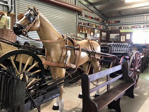 Yamba Tours And Charters - Accommodation Gold Coast 9