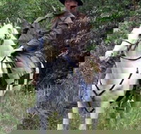 AAA Horse Riding  More - 1 Gold Coast