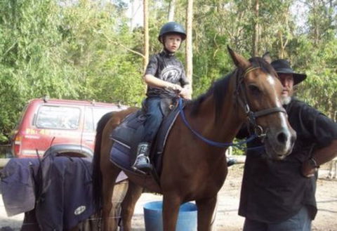 AAA Horse Riding & More - Accommodation Gold Coast 1