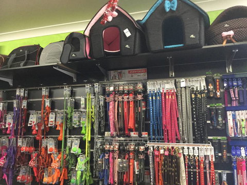 Pets Wonderland - Accommodation Gold Coast 1