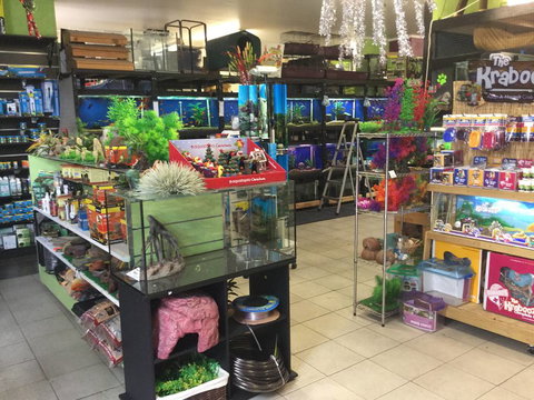 Pets Wonderland - Accommodation Gold Coast 2