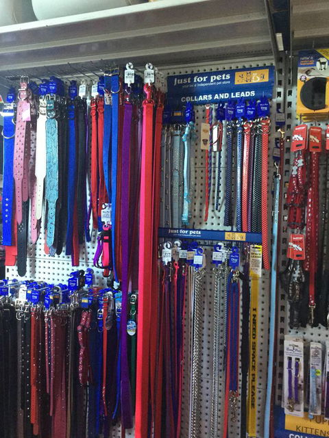 Port Stephens Pet Barn - Gold Coast 4U 3
