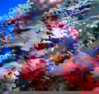 Tropical Marine Centre - Accommodation Gold Coast