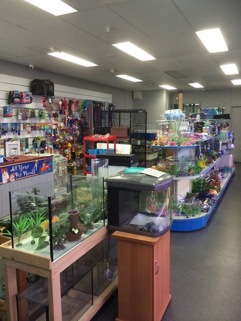 Nambour Pet Shop - Accommodation Gold Coast 0