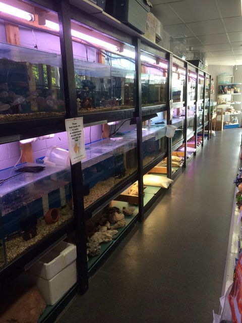 Nambour Pet Shop - Accommodation Gold Coast 1