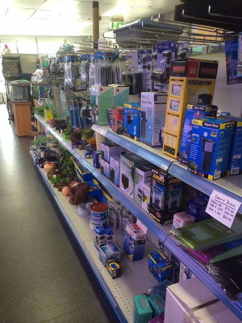 Nambour Pet Shop - Accommodation Gold Coast 2