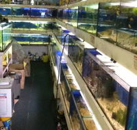 Clearwater Aquariums - 1 Gold Coast