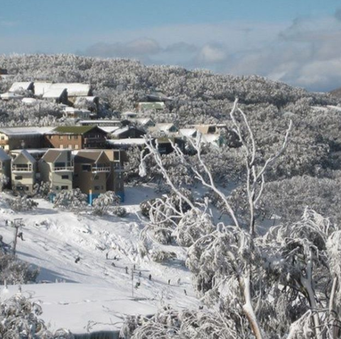 Down Under Thrills - Accommodation Gold Coast 2