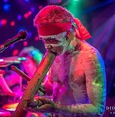 Didgeridoo Jam In The Park - Accommodation Gold Coast 1