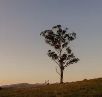 Faulls Ridge Winery - Accommodation Gold Coast