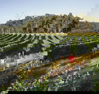 Margaret River Caves Wine and Cape Leeuwin Lighthouse Tour from Perth - Accommodation Gold Coast