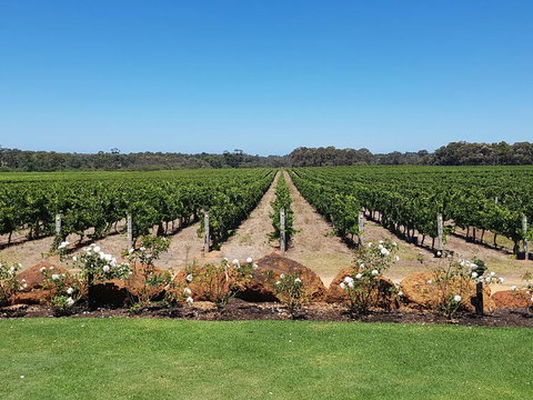 Margaret River Food, Wine & Sightseeing Tour From Perth - Accommodation Gold Coast 5