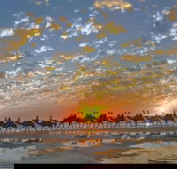 1 Hour Broome Sunset Camel Tour - Accommodation Gold Coast