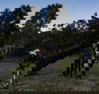 Stargazing Busselton with Mobile Observatory - Accommodation Gold Coast