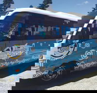 Rottnest Island Bayseeker Tour - Accommodation Gold Coast