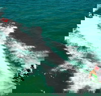 Geraldton Tubing Experience - Accommodation Gold Coast