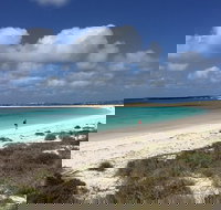 Abrolhos Island Half Day Fly and Flipper - Accommodation Gold Coast