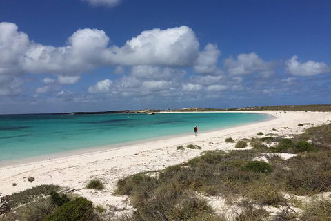 Abrolhos Island Half Day Fly And Flipper - Accommodation Gold Coast 0