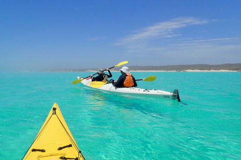 Lagoon Explorer - Ningaloo Reef Full-Day Kayaking And Snorkeling Adventure - Accommodation Gold Coast 7