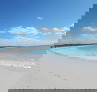 Shipwreck Special Nature Tour/Half Day Tour - Accommodation Gold Coast