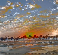 Broome City Sightseeing Tour with Optional Camel Ride - Accommodation Gold Coast