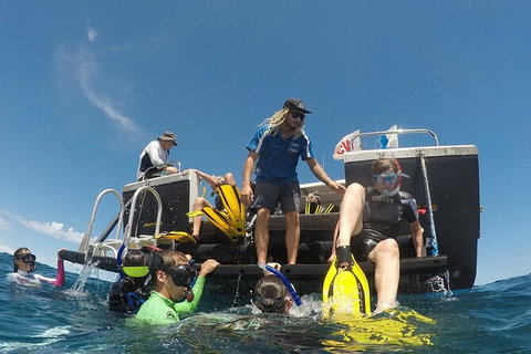 Deluxe WhaleShark Swim Tour On The Ningaloo Reef From Exmouth - Accommodation Gold Coast 6