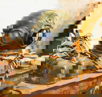 1.5-Hour Historical Pearl Luggers Tour in Broome - Accommodation Gold Coast