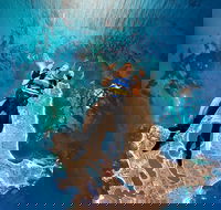 Rottnest Island Tandem Skydive - Accommodation Gold Coast