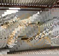 Albany's Whale Story - Accommodation Gold Coast