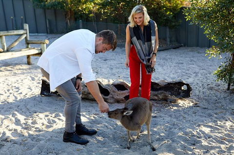 Albany\'s Whale Story - 1 Gold Coast 8