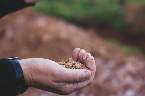 Vasse Felix Epicurean Tour And Tasting Experience With 5 Course Lunch - Accommodation Gold Coast 8