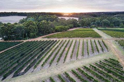 Vasse Felix Epicurean Tour And Tasting Experience With 5 Course Lunch - Accommodation Gold Coast 7