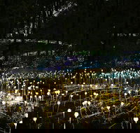 National Anzac Centre Field of Light Panorama Pass - Accommodation Gold Coast