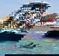 Mandurah Dolphin and Scenic Marine Cruise - Accommodation Gold Coast