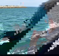 Mandurah Dolphin Island Adventure - Accommodation Gold Coast