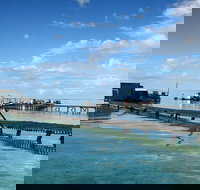 Full Day Guided Abrolhos Fly and Flipper Tour from Geraldton - Accommodation Gold Coast