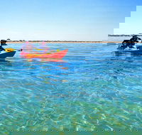 Turtle Tour - Ningaloo Reef Half Day Sea Kayak and Snorkel Tour - Accommodation Gold Coast