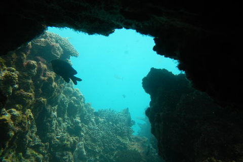 Half-Day Abrolhos Islands Shipwreck Air And Land Tour From Geraldton - Accommodation Gold Coast 0