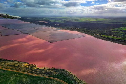 Kalbarri, Pink Lake And Abrolhos Islands Nature Tour - Accommodation Gold Coast 3