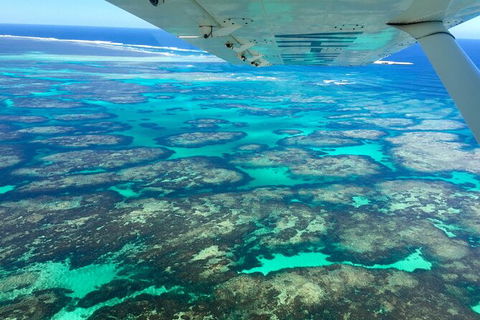 Kalbarri, Pink Lake And Abrolhos Islands Nature Tour - Accommodation Gold Coast 5