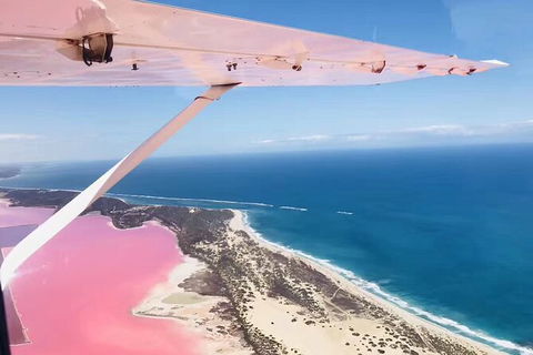 Kalbarri, Pink Lake And Abrolhos Islands Nature Tour - Accommodation Gold Coast 4