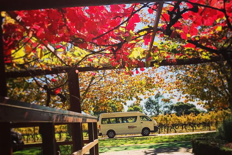 Ultimate Swan Valley Food And Wine Day Trip From Perth - Accommodation Gold Coast 12