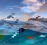 Exclusive Ningaloo Adventure Charter from Exmouth - Accommodation Gold Coast