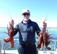 Rottnest Island Wild Seafood Package with Round Trip Ferry from Fremantle - Accommodation Gold Coast